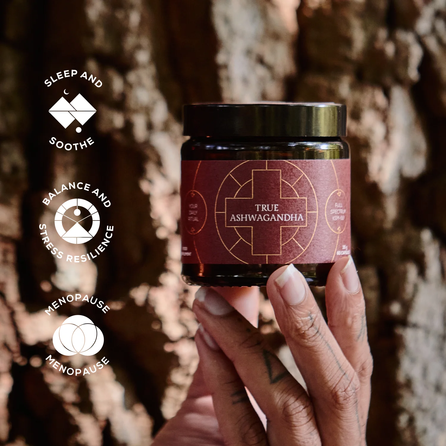 5060512090529 - image 5-preview