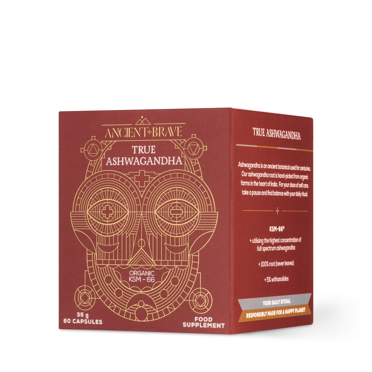 5060512090529 - image 7-preview